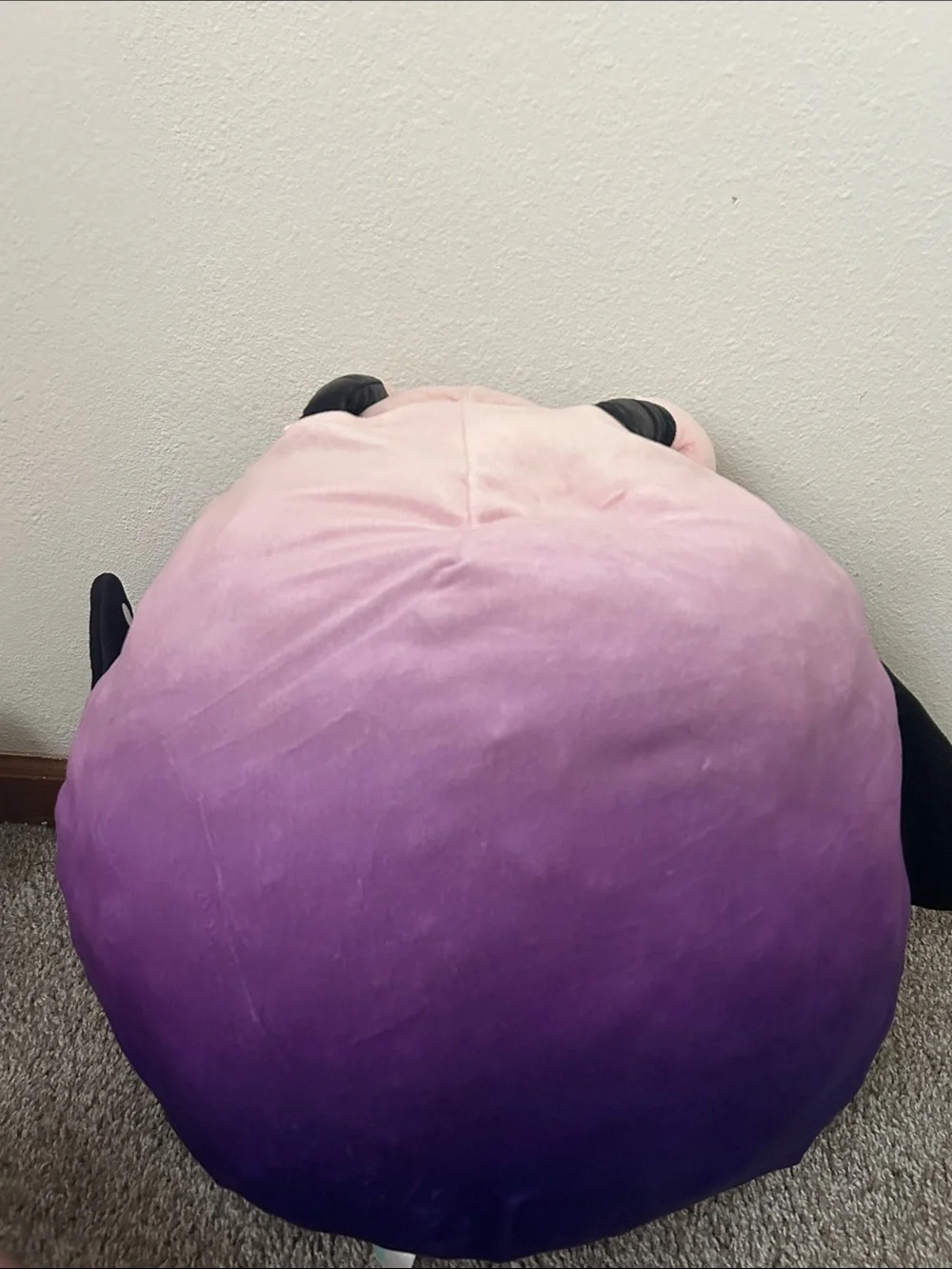 Rida The Butterfly Squishmellow  ‘16